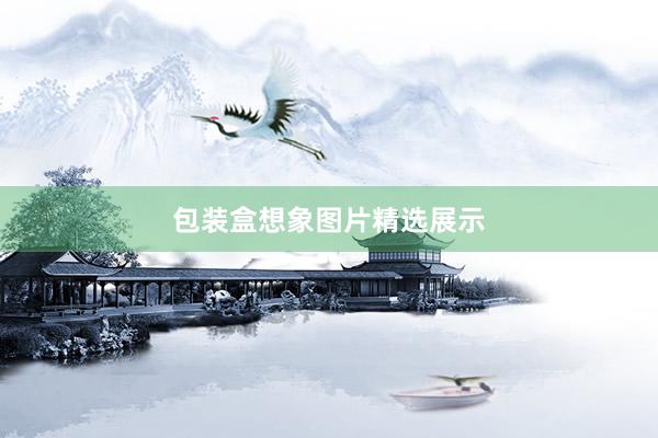 包装盒想象图片精选展示